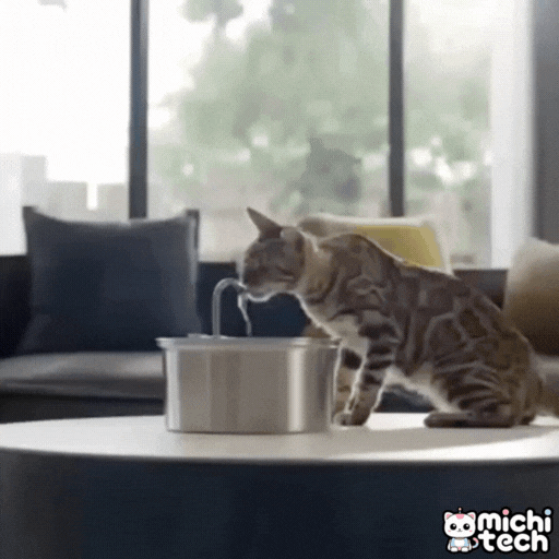 Fuente_Acero_Inoxidable_3L_MichiTech_Gatos - 🥣 Fuente Acero Inoxidable 3L MichiTech - Silenciosa y de Alta Capacidad