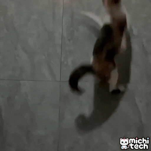 Juguete_Laser_3_1_Llavero_MichiTech_Gatos - 🔦 Juguete Láser 3 en 1 de Llavero MichiTech para Gatos
