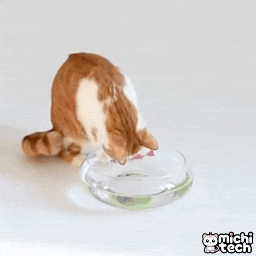 Juguete_Pez_Acuatico_MichiTech_Gatos - 🐟 Juguete Pez Acuático MichiTech para Gatos - Nada con LED