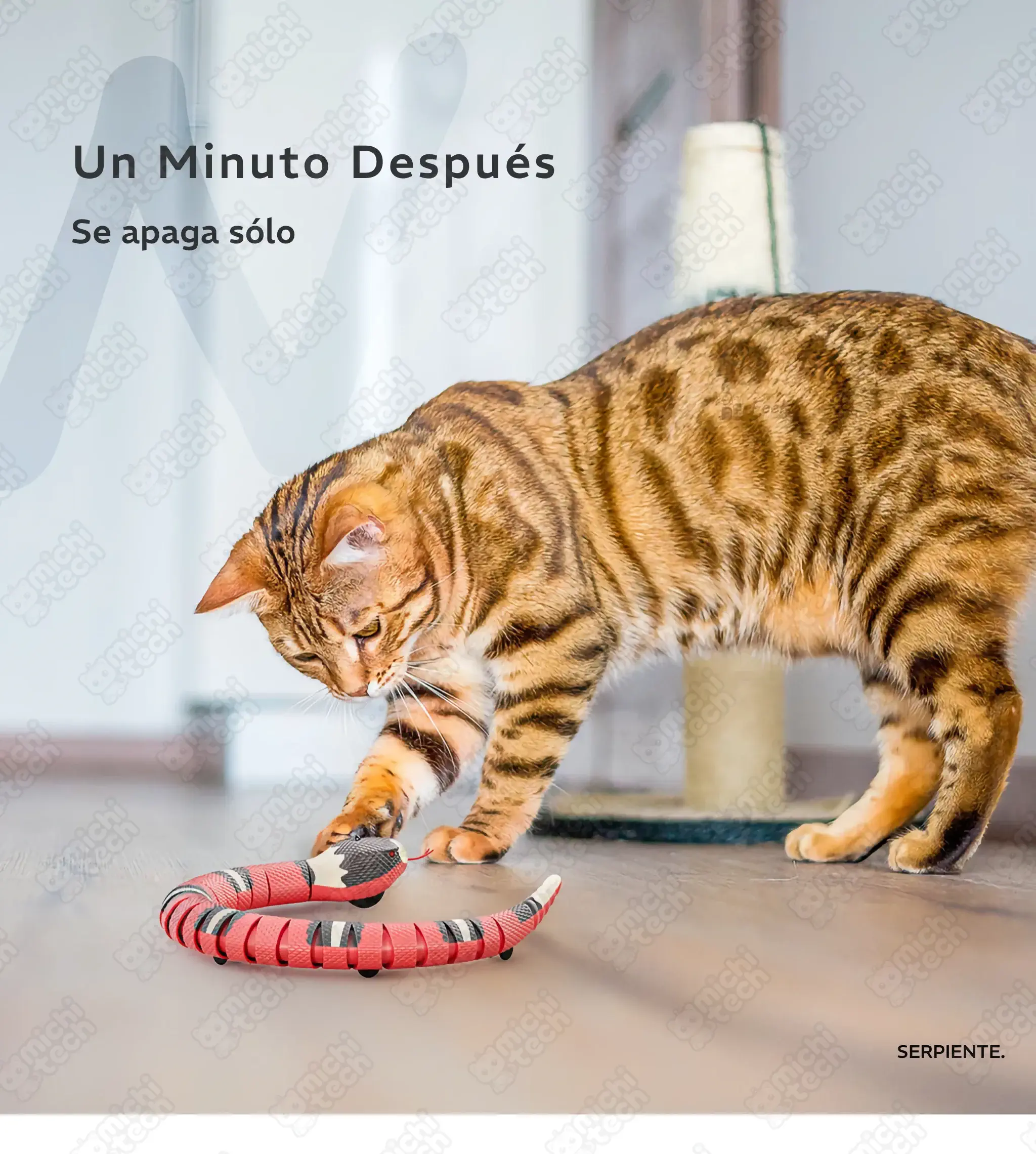 Juguete_Serpiente_Interactiva_MichiTech_Gatos.06 - 🐍 Juguete Serpiente Interactiva MichiTech para Gatos - Caza Activa