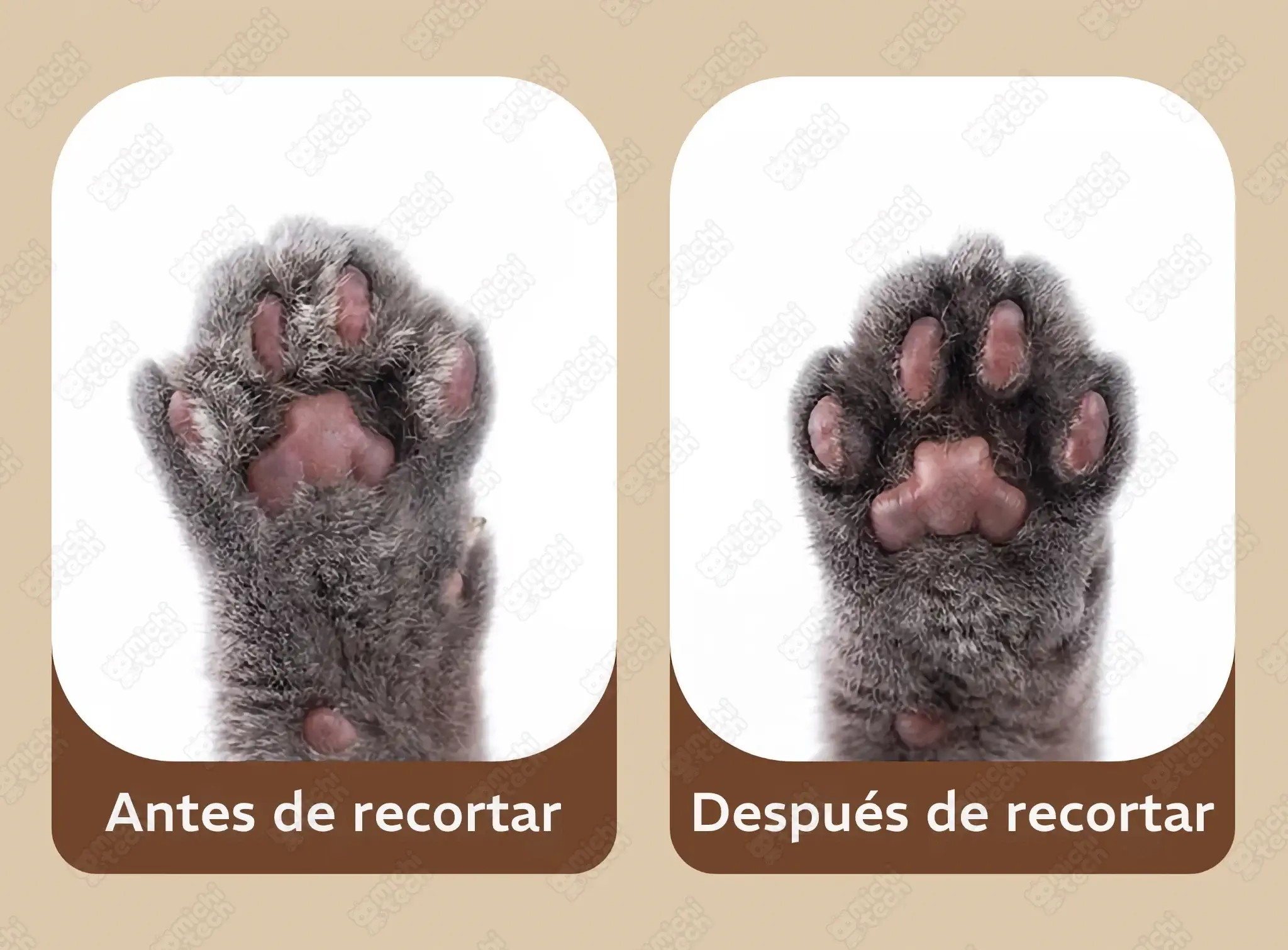 Mini Corta Pelo con Luz LED MichiTech para Gatos Mini_Corta_Pelo_Luz_LED_MichiTech_Gatos.03 - ✂️ Corta Pelo 4 en 1 MichiTech para Gatos - Cuchillas Seguras y Silenciosas